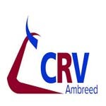 Recruiter Company